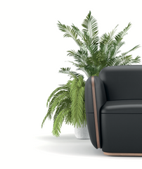 OSLO Modern Luxurious Office Sofa