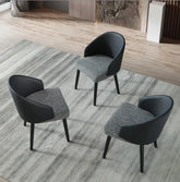 Duo Color Modern Dining Chair