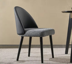 Duo Color Modern Dining Chair