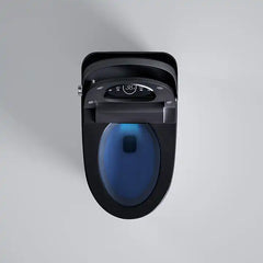 Black Elongated Tankless Smart LED Luxury Bidet Toilet