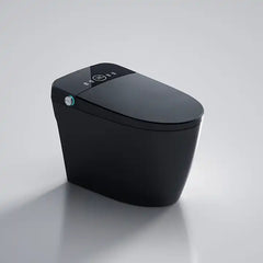 Black Elongated Tankless Smart LED Luxury Bidet Toilet