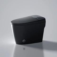 Black Elongated Tankless Smart LED Luxury Bidet Toilet