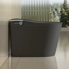 Black Elongated Smart LED Luxury Bidet Toilet with Built in Tank & Voice Control