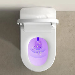 Black Elongated Smart LED Luxury Bidet Toilet with Built in Tank & Voice Control