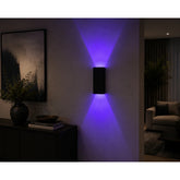 APEX RGB Waterproof LED Modern Indoor/Outdoor Wall Light Sconce