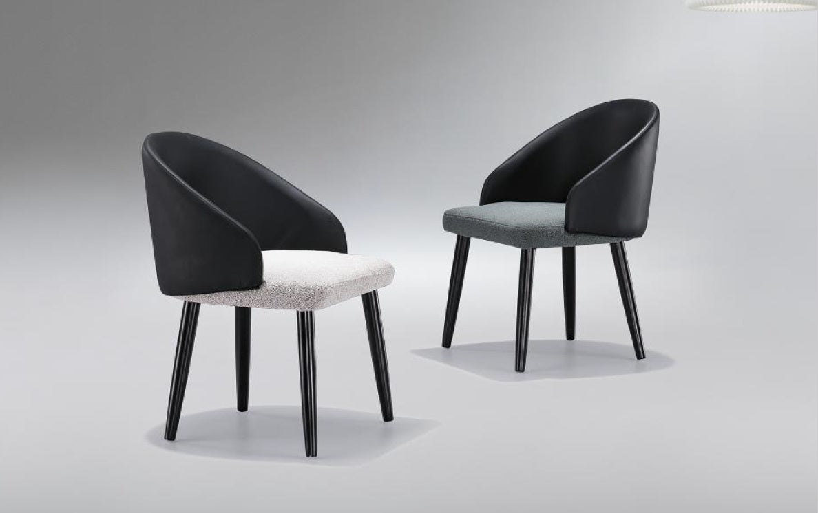 Duo Color Modern Dining Chair