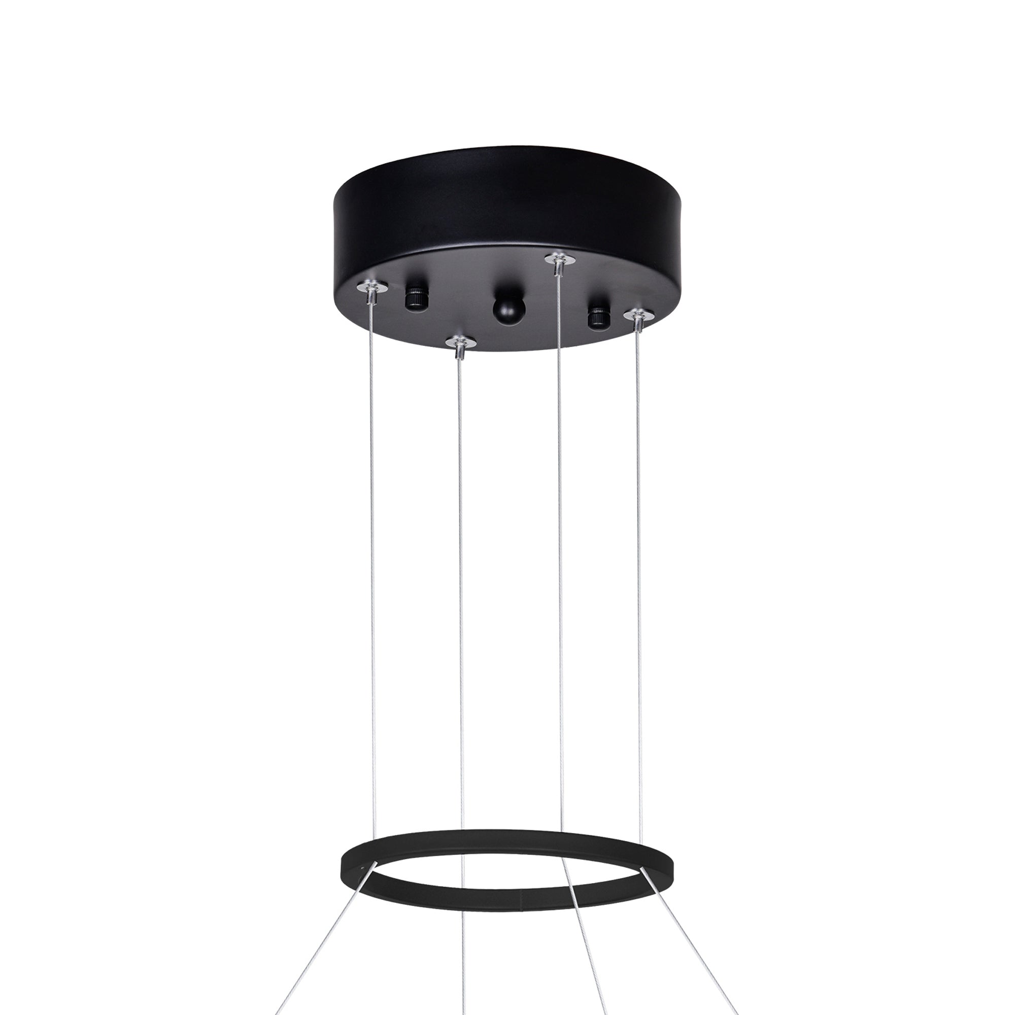 Rosalina LED Chandelier With Matte Black Finish