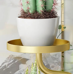 CINQ Gold Plant Stand with Marble Base