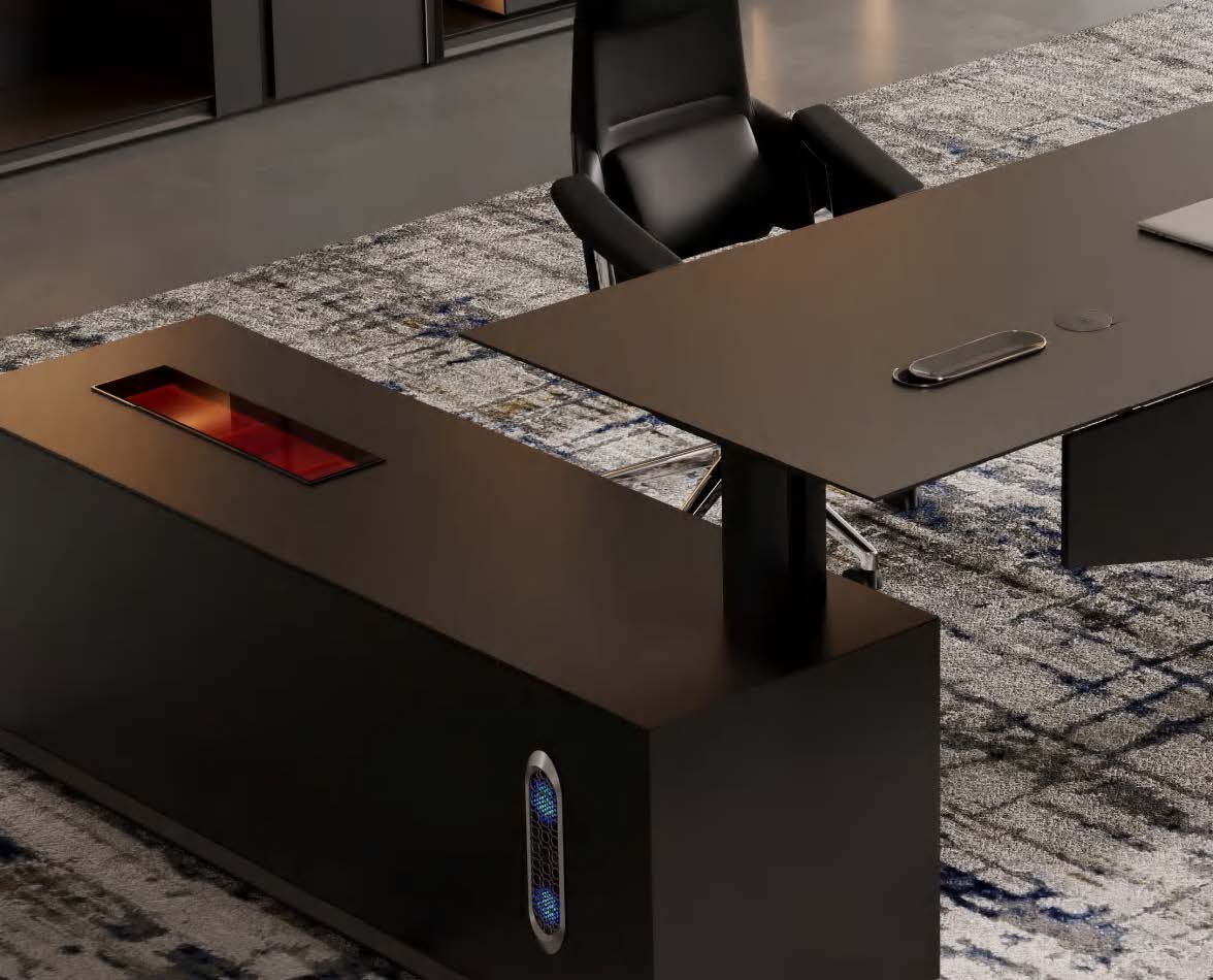 ANYIN Adjustible Luxury Office Desk