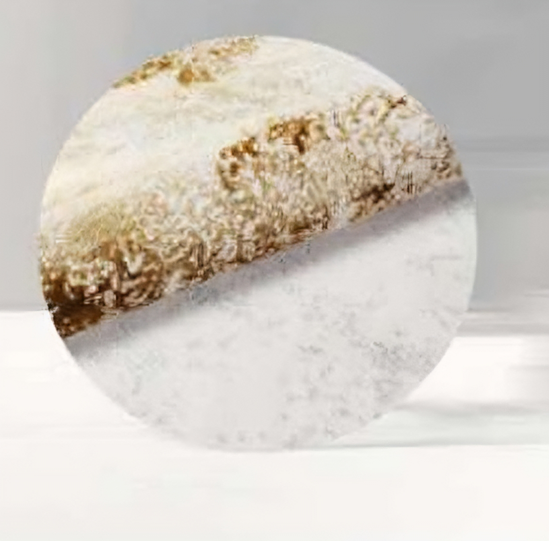 TIME PLUS Series Carpet SG-P10