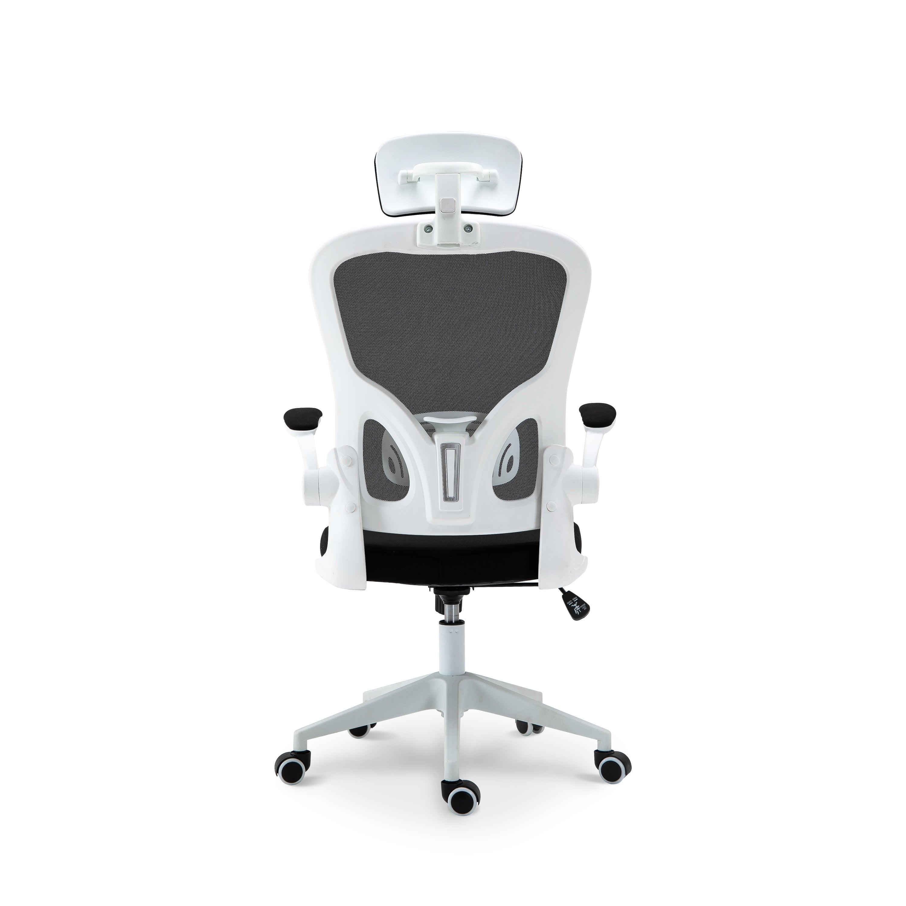 Ergonomic High Back Mesh Office Chair - Northern Interiors